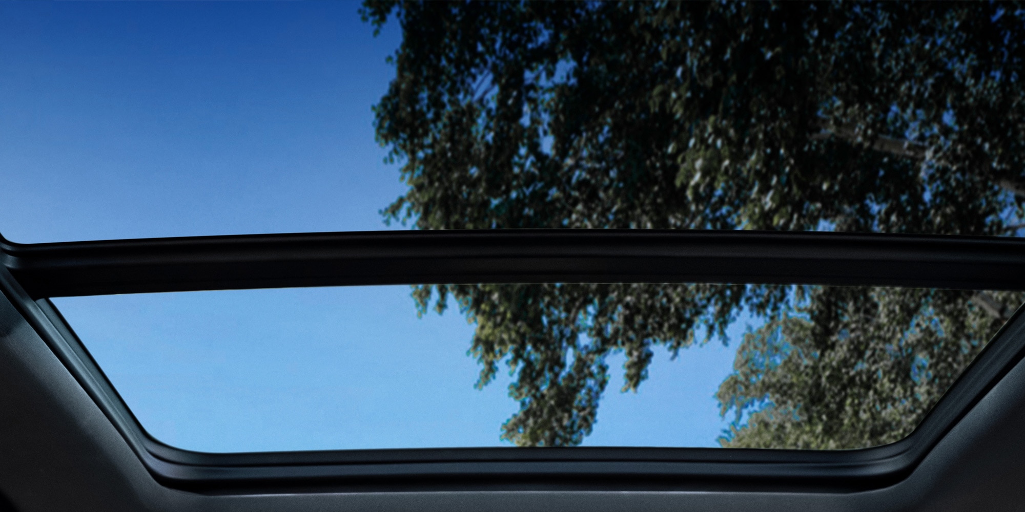Sunroof, ventana de techo